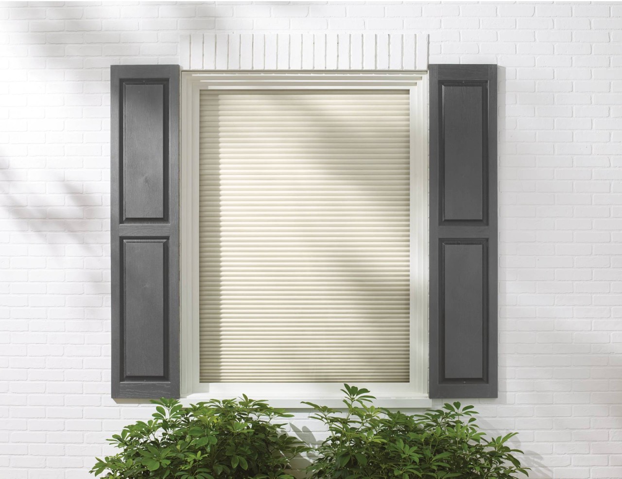 Hunter Douglas Duette® Cellular Shades near Prosper, Texas (TX)